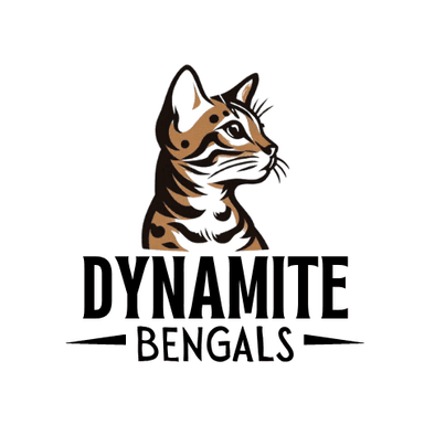 Dynamite Bengals Logo