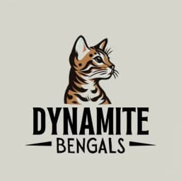 Dynamite Bengals Logo